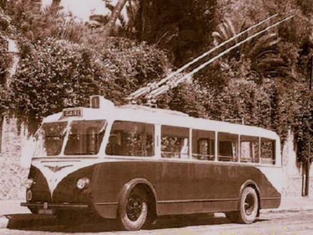 Alger Vetra trolleybus TA.jpg
