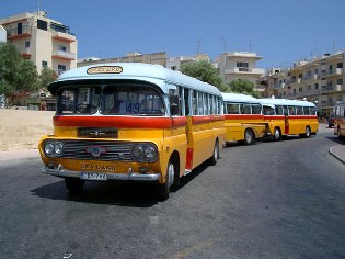 maltese bus.jpg