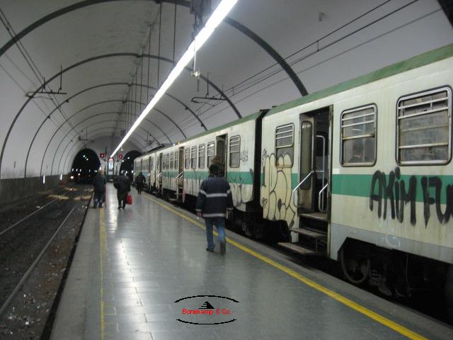 Roma Tren Metropolitan 03.jpg