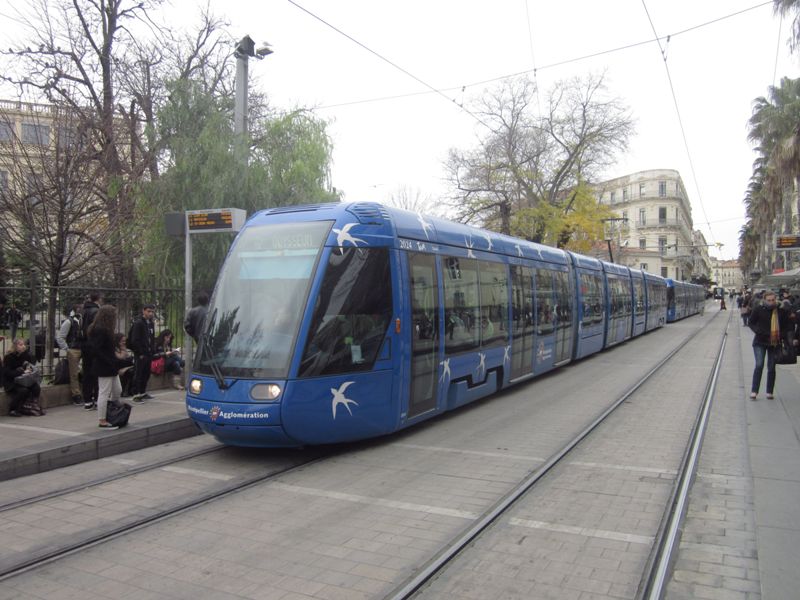 Transport in comun (Montpellier) 074.jpg