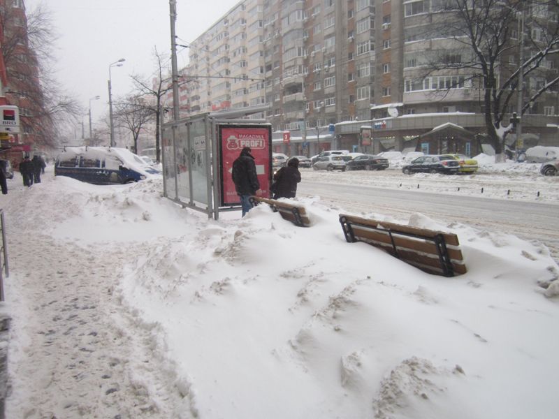 Viscol in Bucuresti, 29 ianuarie 026.jpg