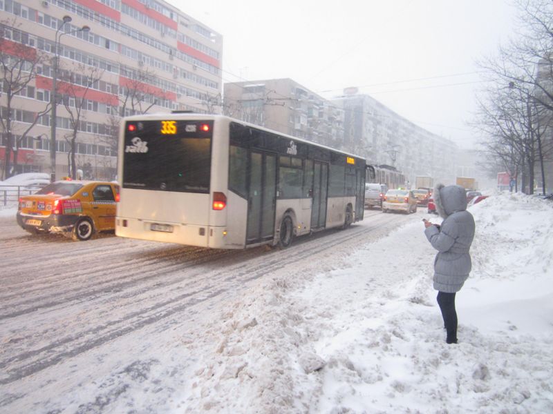 Viscol in Bucuresti, 29 ianuarie 051.jpg