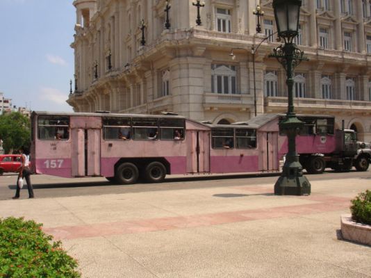 weird_bus_472.jpg