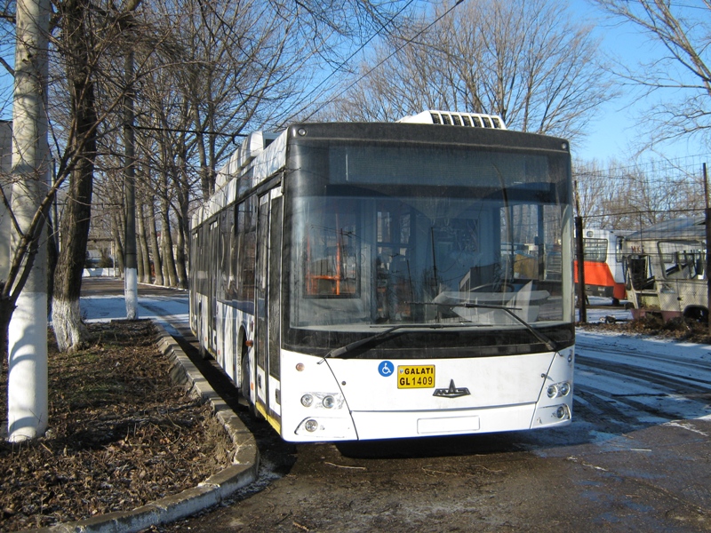0173 - 1409 garat langa parcul de casare (17.01.2009).JPG