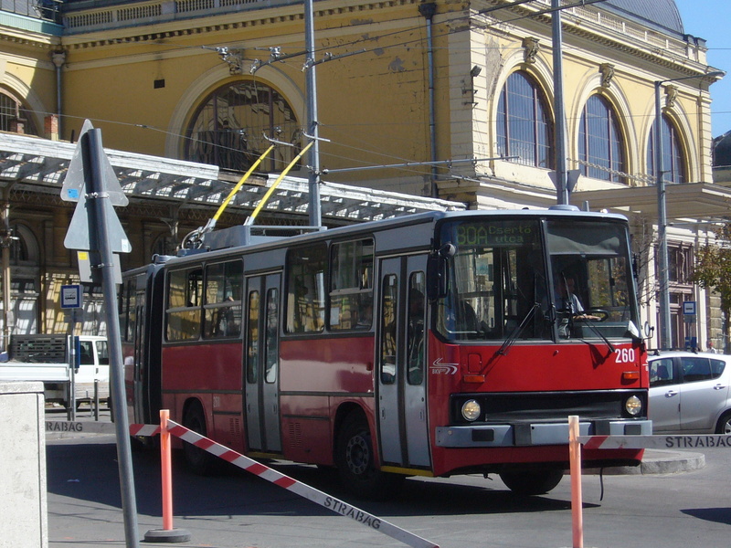 0260-P1480257.JPG