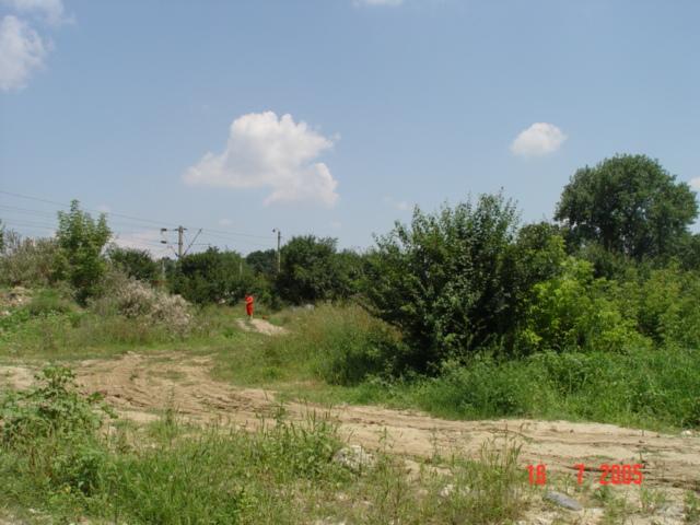 02.jpg