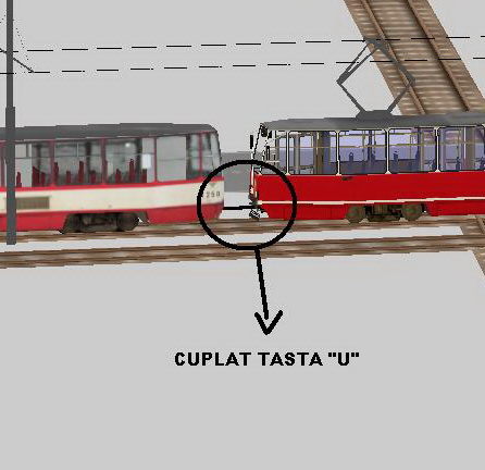 02cuplat_801.jpg