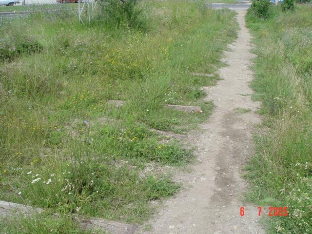 05.jpg