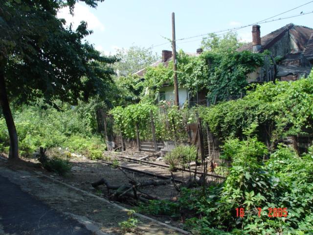 06.jpg