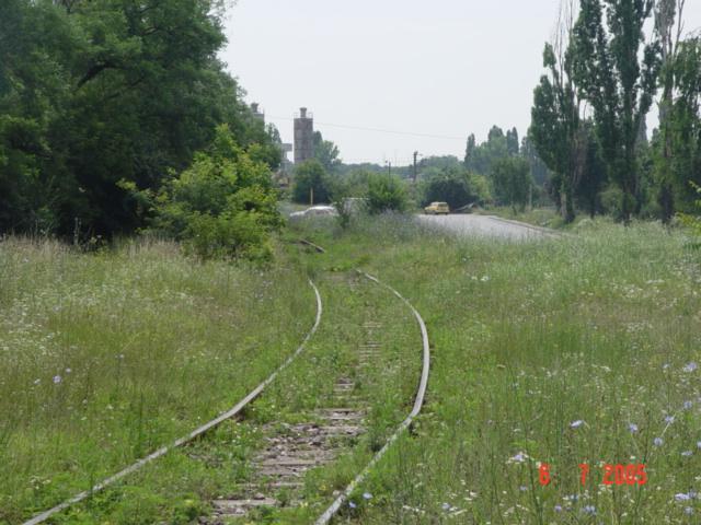 07.jpg