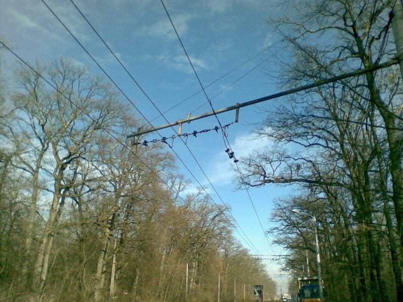 08122007(005).jpg