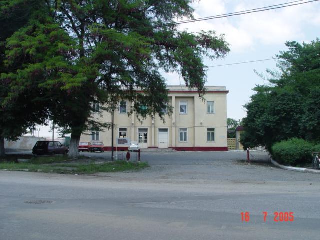 08.jpg