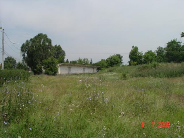 09.jpg