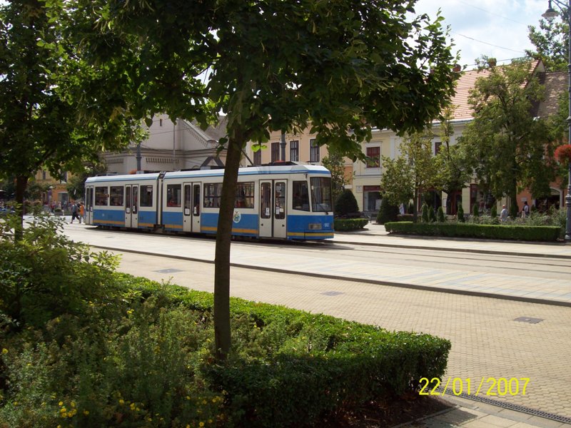 100_1831.jpg