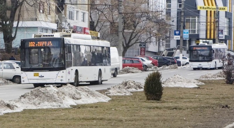 100.jpg