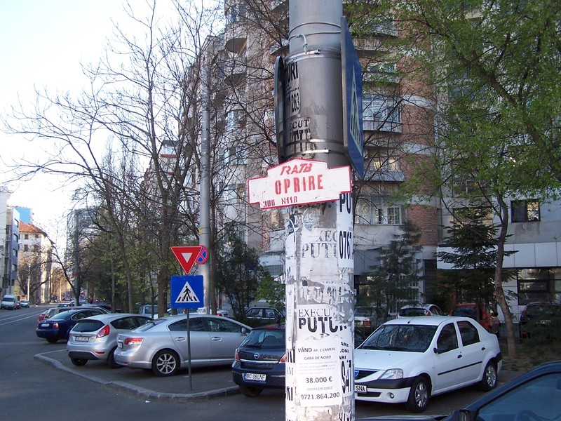 100_7721.JPG