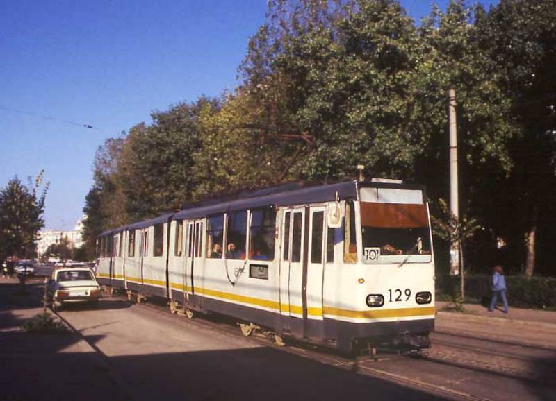 119.jpg