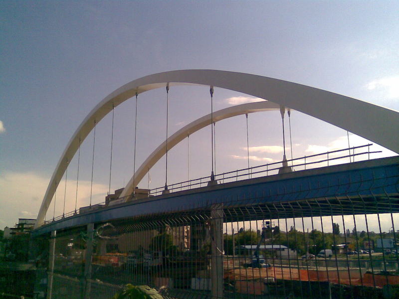 141.jpg