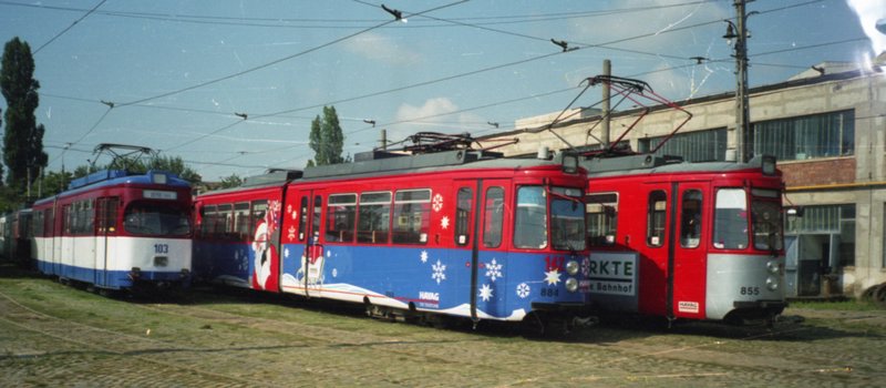 142.jpg