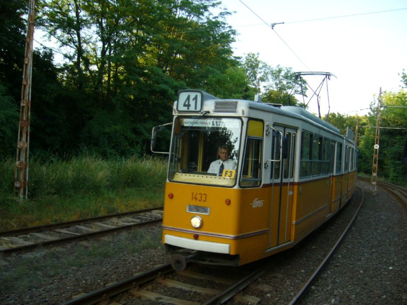 1433-P1380626.jpg