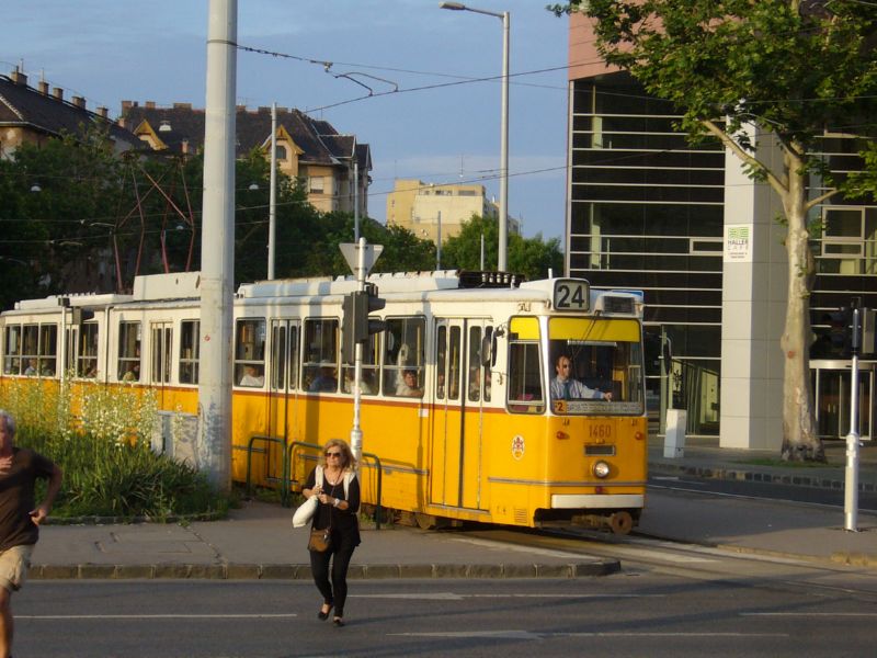 1460-P1370873.jpg