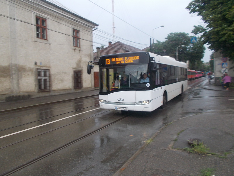 151.JPG