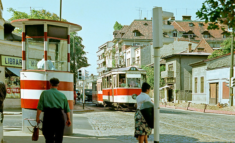 15596142.jpg