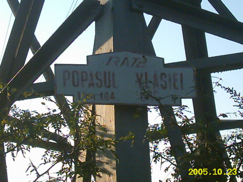 164.jpg