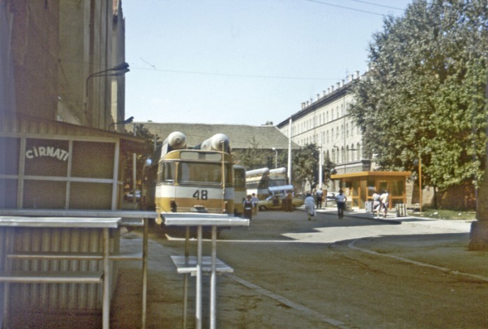 1986090286109431timisoa.jpg