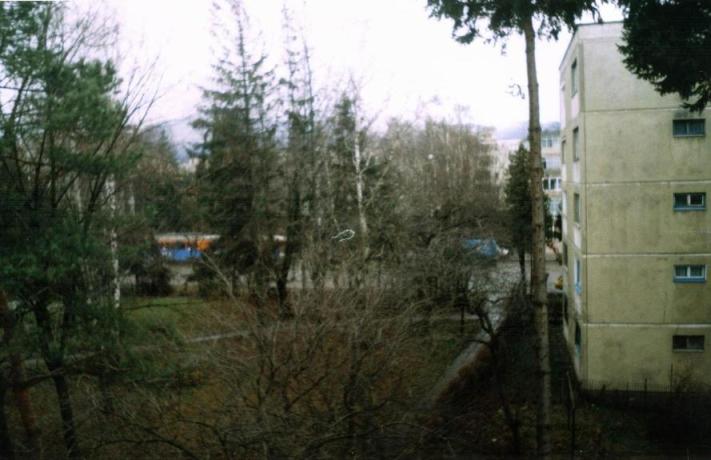 1_11.JPG