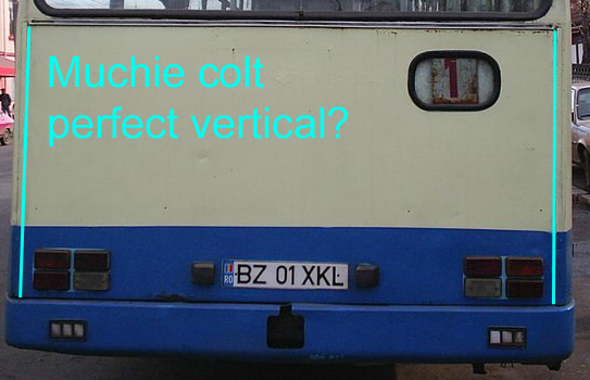 20161029 41 Spate.jpg