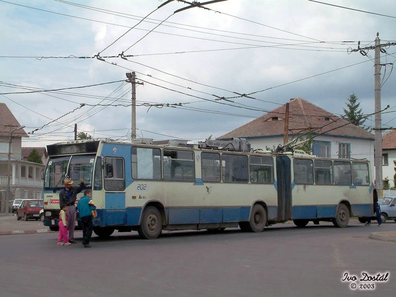 202.jpg