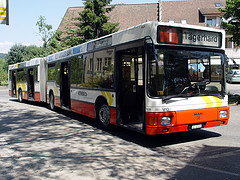 2125577216_d700348055_m.jpg