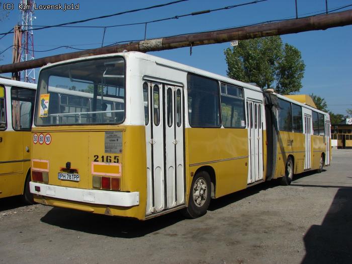 2165.jpg