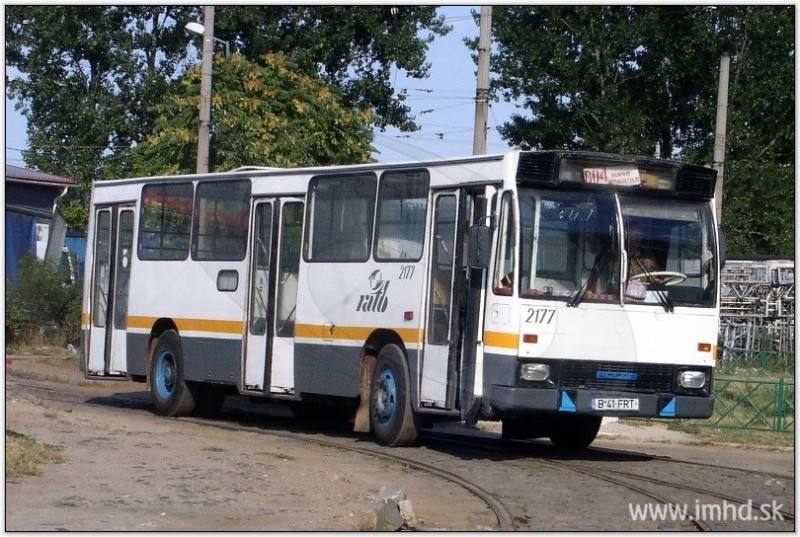 2177.jpg