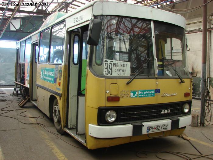 2290.jpg