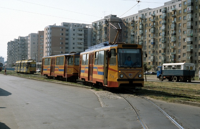 230+185.jpg