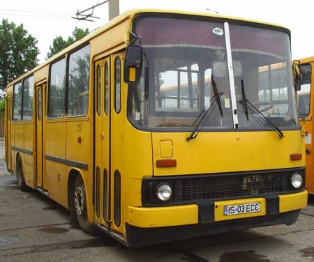 230.jpg
