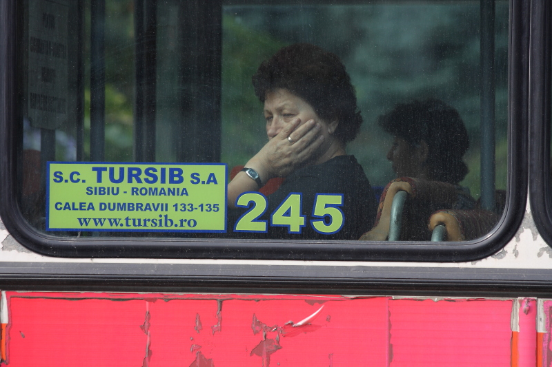 245.jpg