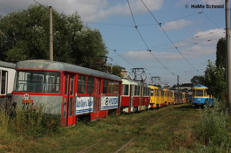 269453.jpg
