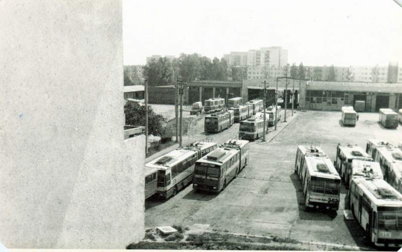 279.jpg