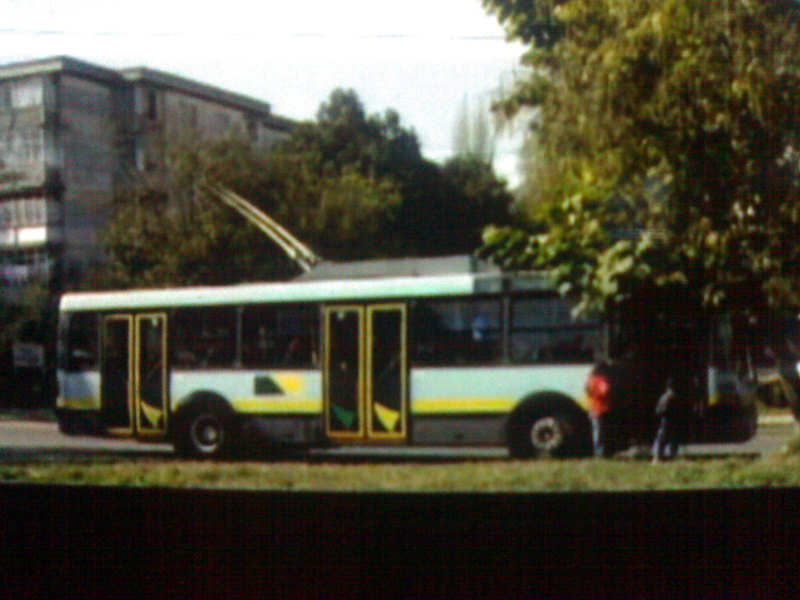 28012009920.jpg