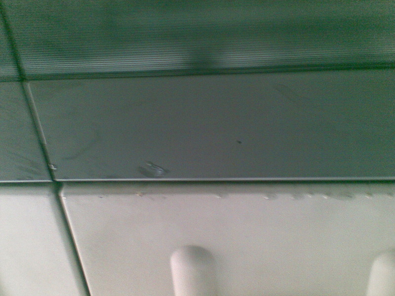 29012010.jpg