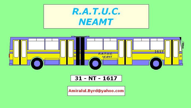 31-NT-1617.JPG