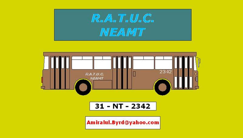 31-NT-2342.JPG