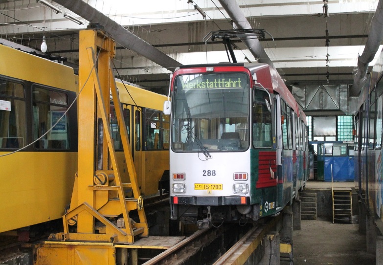 M6D 288.jpg