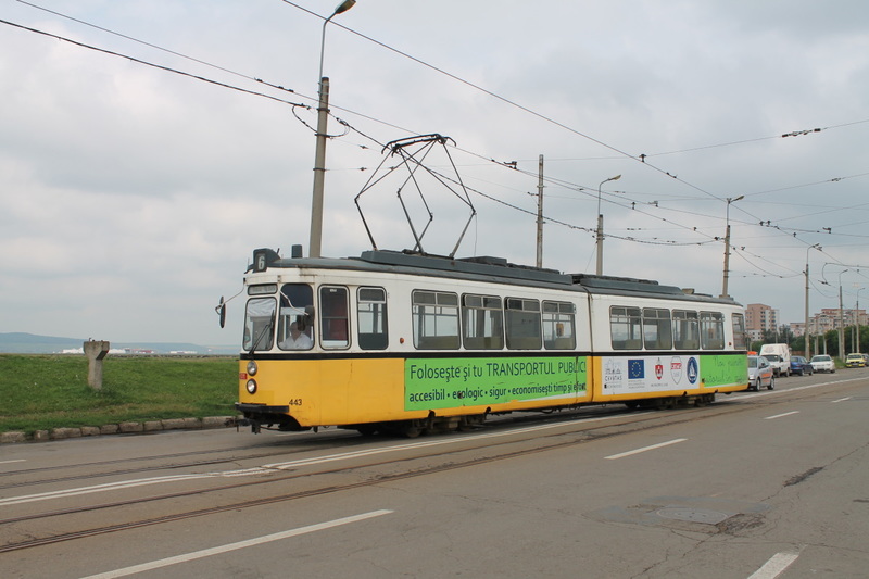 443.jpg