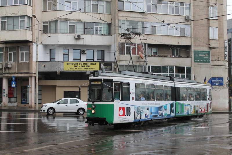 446.jpg