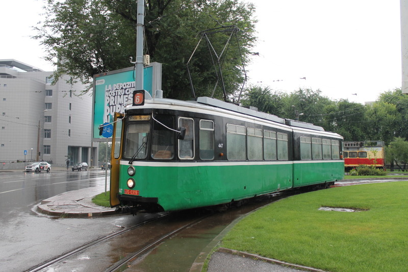 447.jpg