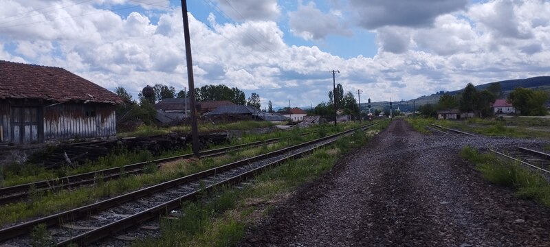 vadu crisului 8.jpg